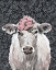 Picture of AGNES
