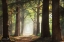 Picture of FRESH GREEN FOREST