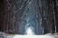 Picture of COLD ROAD