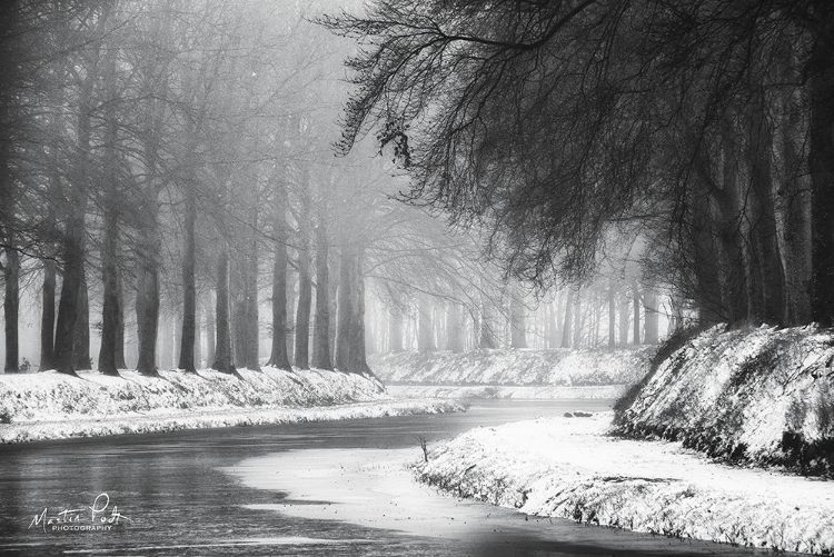 Picture of WINTER RIVER