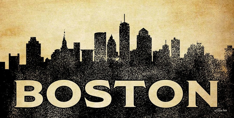 Picture of BOSTON SKYLINE