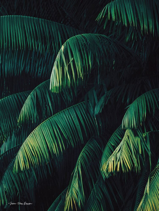 Picture of  PALM LEAVES  