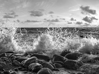 Picture of WAVES CRASHING, POINT REYES, CALIFORNIA (BW)