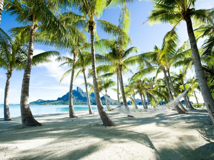 Picture of HAMMOCK AT BORA BORA TAHITI