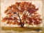 Picture of MATTINO