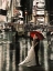 Picture of ROMANCE IN NEW YORK