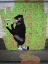 Picture of LEAKE STREET LONDON-GRAFFITI ATTRIBUTED TO BANKSY