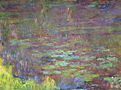 Picture of DETAIL OF WATERLILIES AT SUNSET