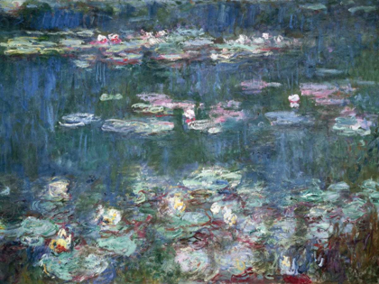 Picture of WATER-LILIES
