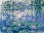 Picture of WATERLILIES