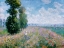 Picture of MEADOW WITH POPLARS