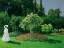 Picture of YOUNG WOMAN IN A GARDEN