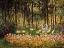 Picture of WOODED SCENE