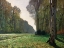 Picture of LE PAVE DE CHAILLY