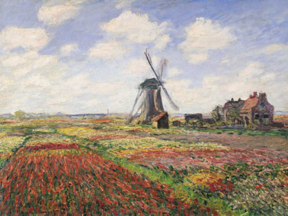 Picture of TULIP FIELDS WITH WINDMILL