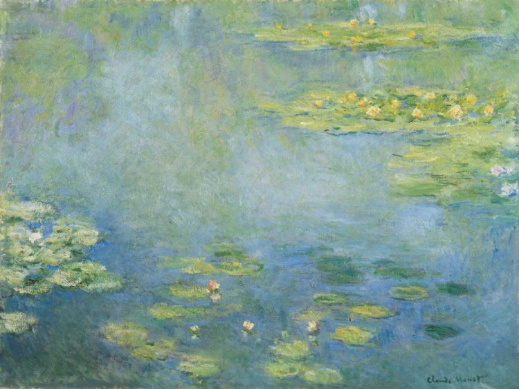 Picture of WATERLILIES