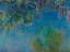 Picture of WISTERIA