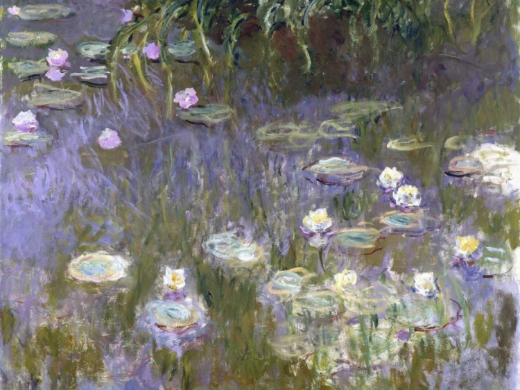 Picture of WATER LILIES