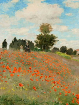 Picture of COQUELICOTS
