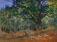 Picture of THE BODMER OAK FONTAINEBLEAU FOREST