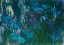 Picture of WATER LILIES