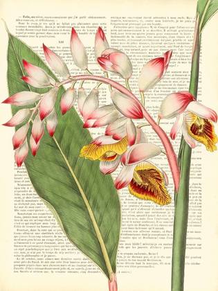 Picture of VINTAGE BOTANY II