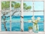 Picture of MEDITERRANEE (DETAIL)