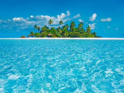 Picture of TROPICAL LAGOON WITH PALM ISLAND, MALDIVES