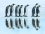 Picture of EMPEROR PENGUIN GROUP, ANTARCTICA