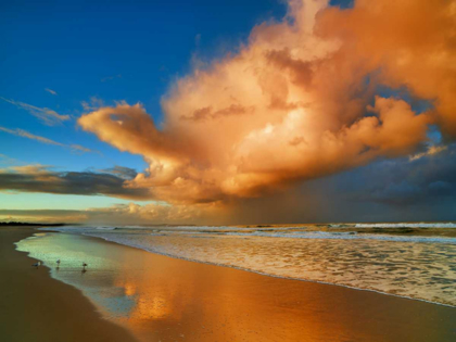 Picture of SUNSET ON THE OCEAN, NEW SOUTH WALES, AUSTRALIA