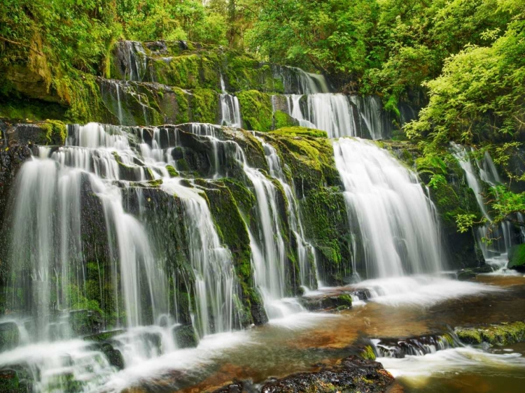 Picture of WATERFALL PURAKAUNUI FALLS, NEW ZEALAND