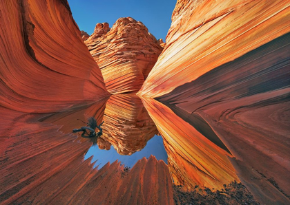 Picture of THE WAVE IN VERMILLION CLIFFS, ARIZONA