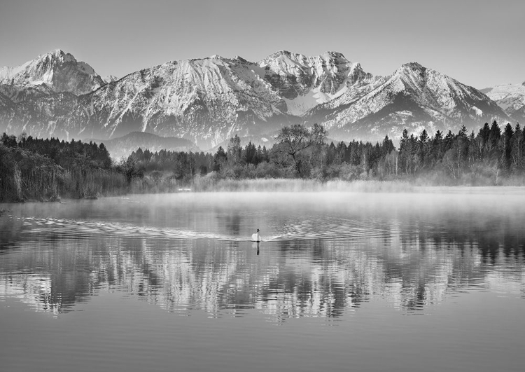 Picture of ALLGAEU ALPS AND HOPFENSEE LAKE, BAVARIA, GERMANY (BW)