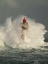 Picture of LA JUMENT