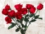 Picture of BOUQUET