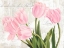 Picture of ACADEMIE DES FLEURS