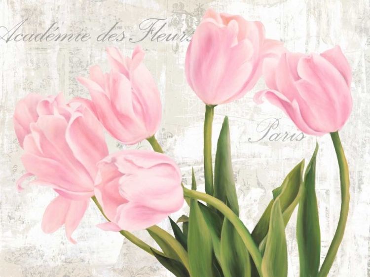 Picture of ACADEMIE DES FLEURS