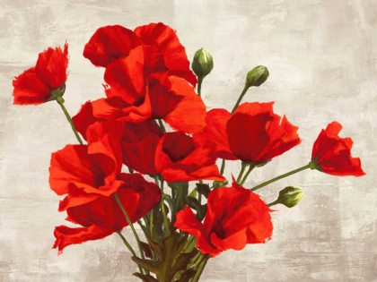 Picture of BOUQUET OF POPPIES