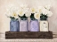 Picture of TULIPS IN MASON JARS