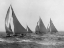 Picture of SLOOPS AT SAIL 1915