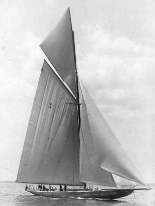 Picture of THE VANITIE DURING THE AMERICAS CUP 1910