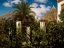 Picture of GARDEN OF AN INN CAPRI