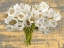 Picture of WASHED TULIPS (ASH AND GOLD)