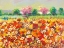 Picture of COLORI DI PRIMAVERA