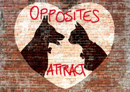 Picture of OPPOSITES ATTRACT