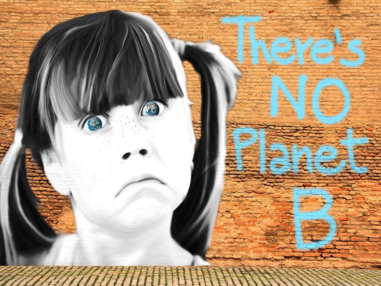 Picture of NO PLANET B
