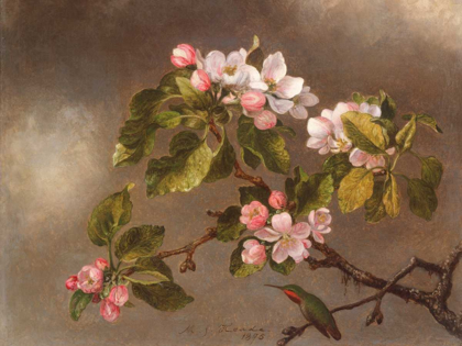 Picture of HUMMINGBIRD AND APPLE BLOSSOMS 