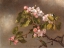 Picture of HUMMINGBIRD AND APPLE BLOSSOMS 