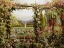 Picture of THE ROSE GARDEN
