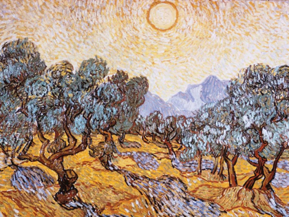 Picture of THE OLIVE TREES